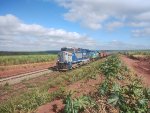 RUMO 756